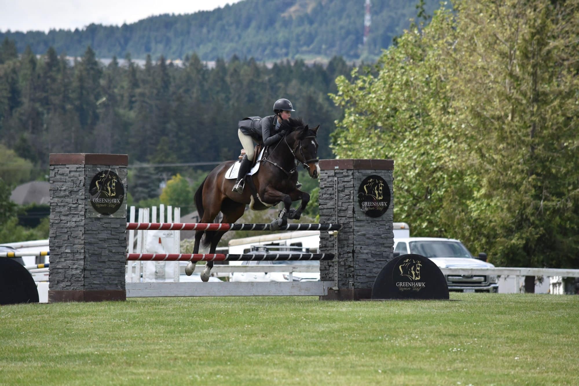 Bay horse jumping between Greenhawk stone pillars