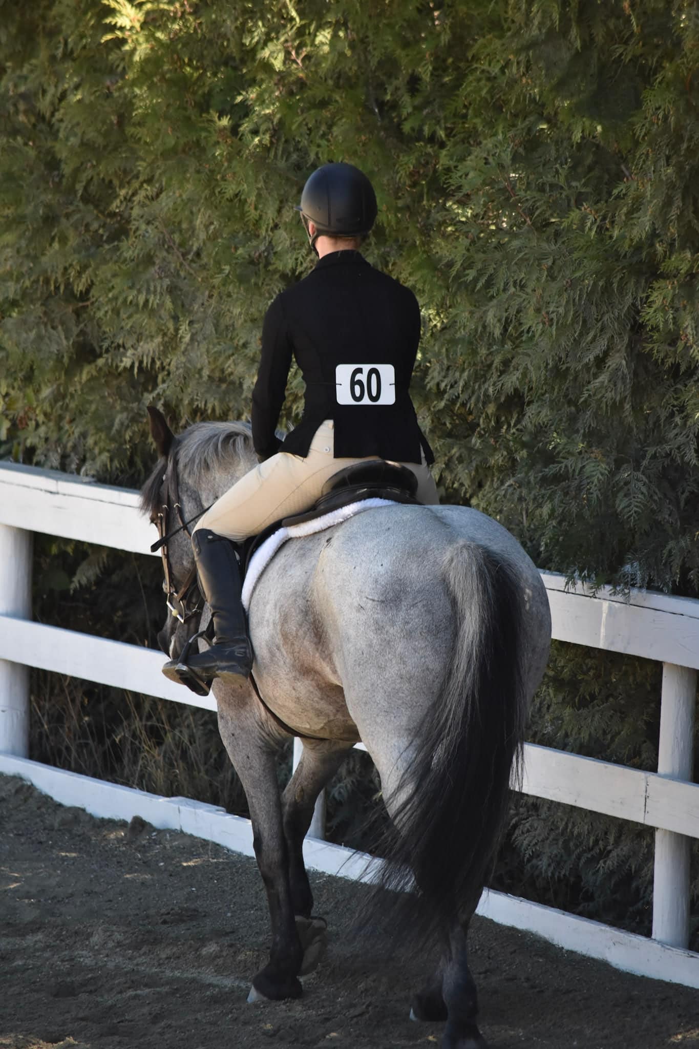 Horse and rider at a show on Vancouver Island