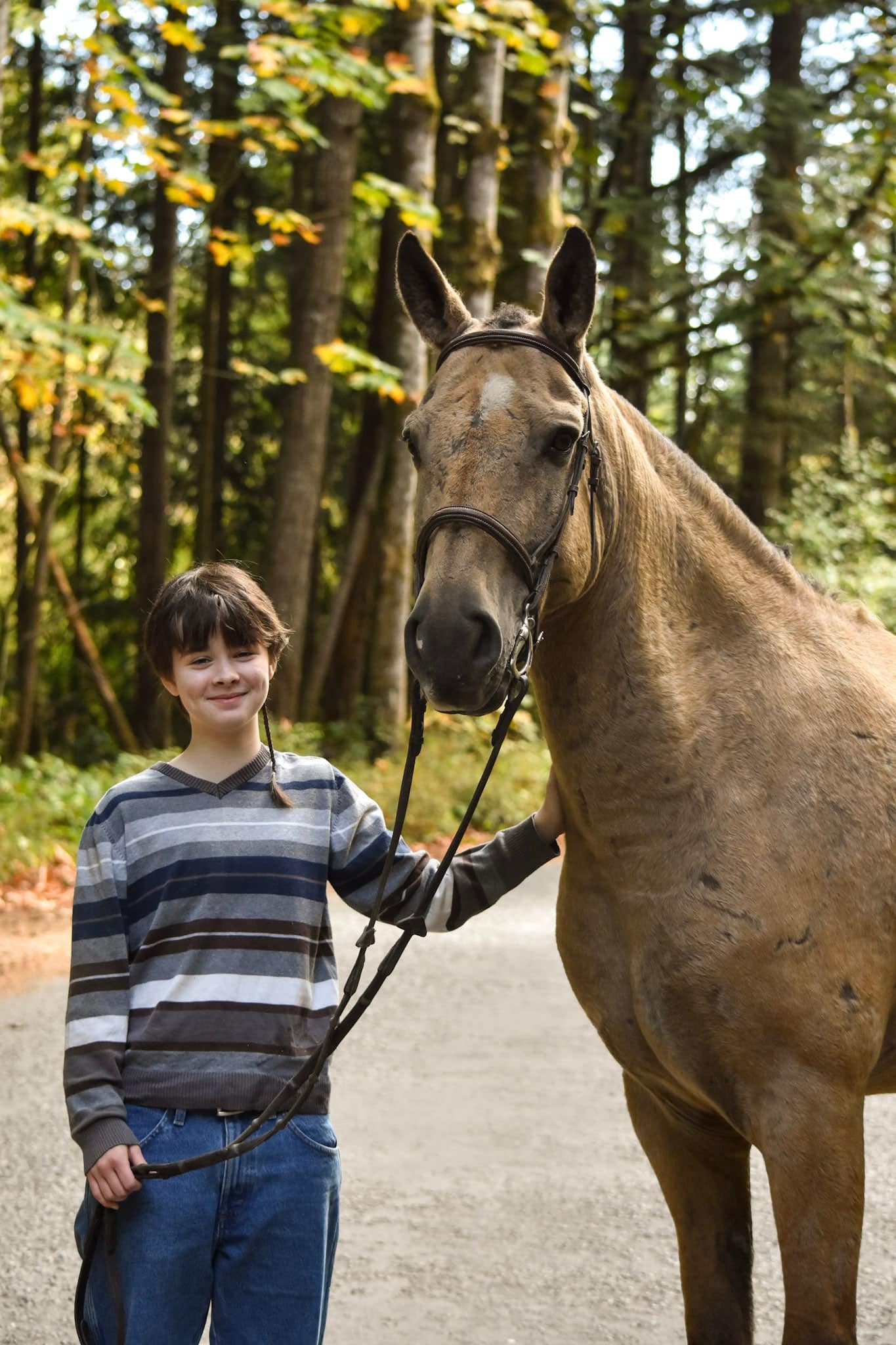 Equestrian portrait on Vancouver Island