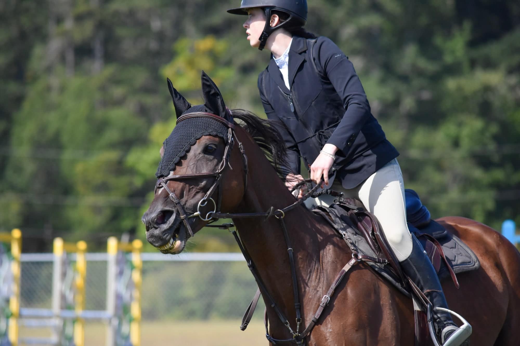 Rider looking ahead to the next fence on a bay horse in a black bonnet