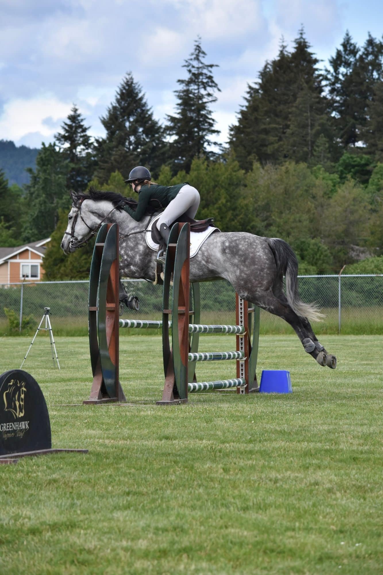 Dapple grey horse stretching over a jump at a Greenhawk show