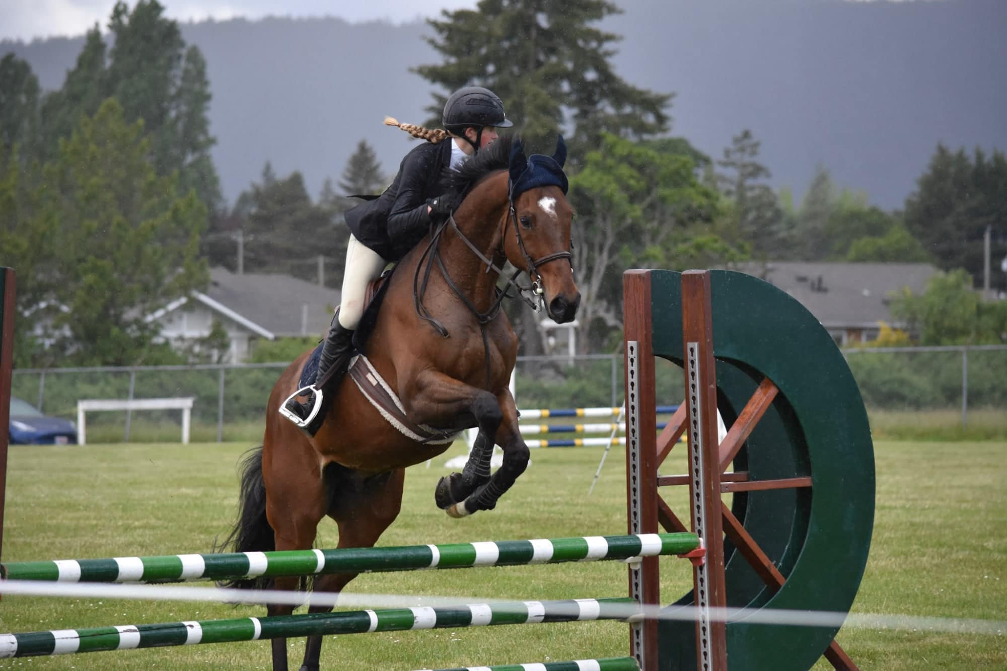 Bay horse tucking its knees over a green and white fence in the rain
