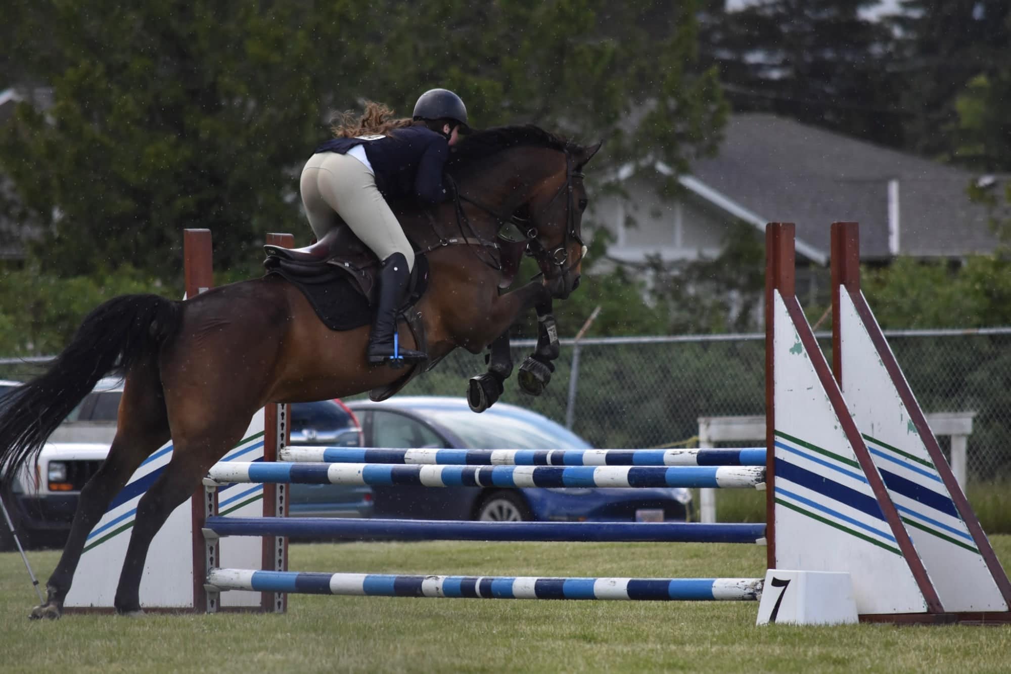 Bay horse jumping fence seven in light rain