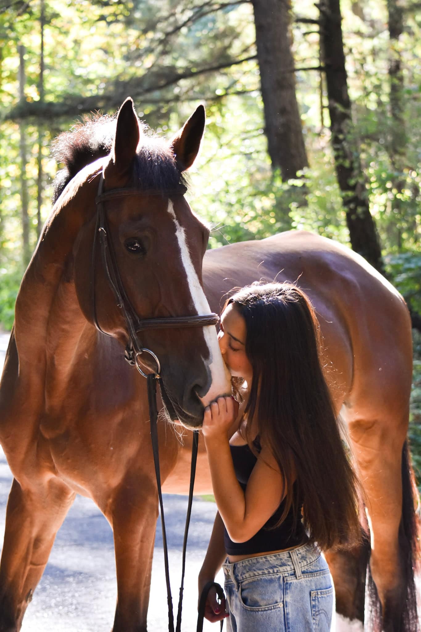 Equestrian portrait on Vancouver Island