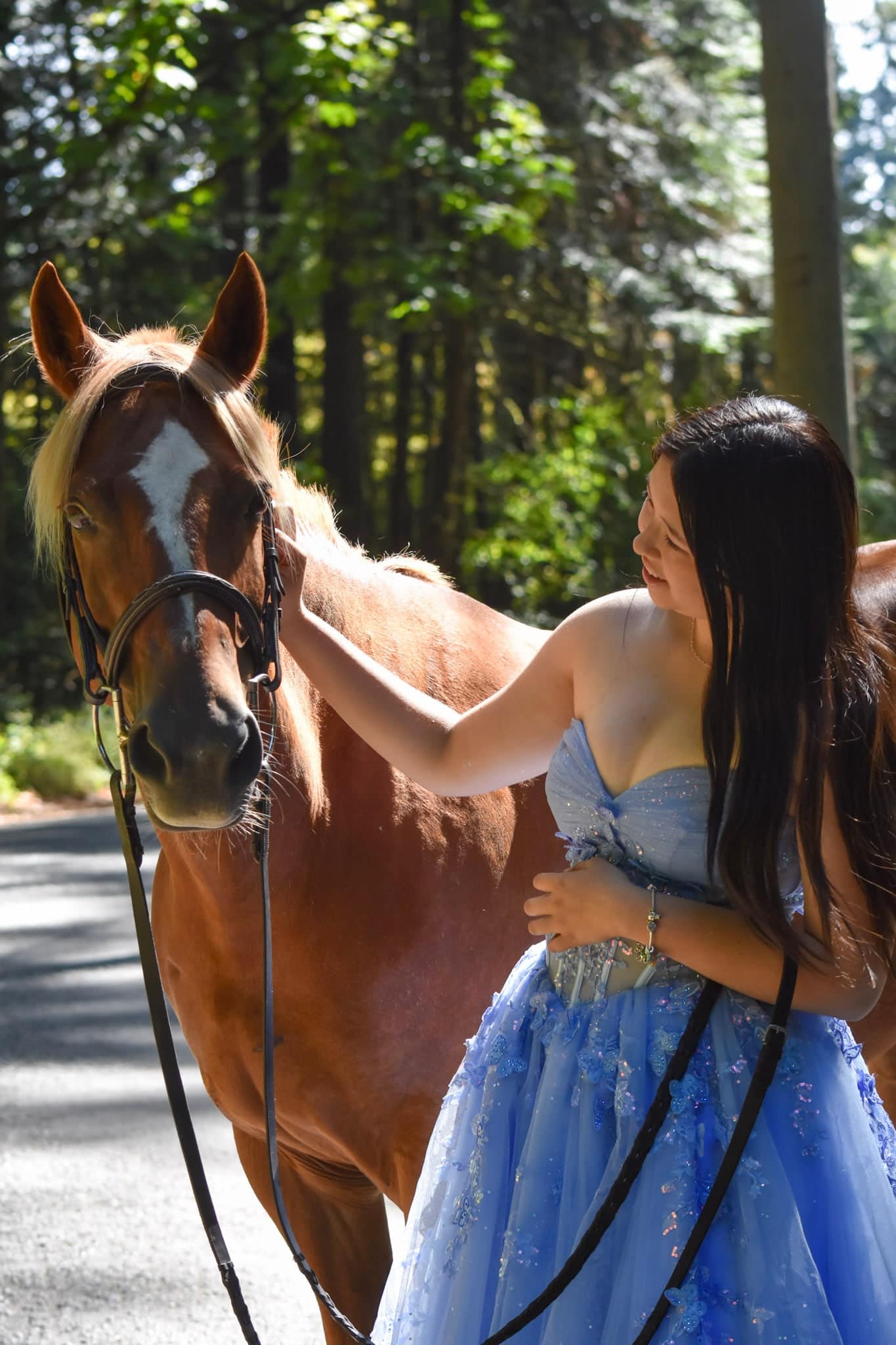 Equestrian portrait on Vancouver Island