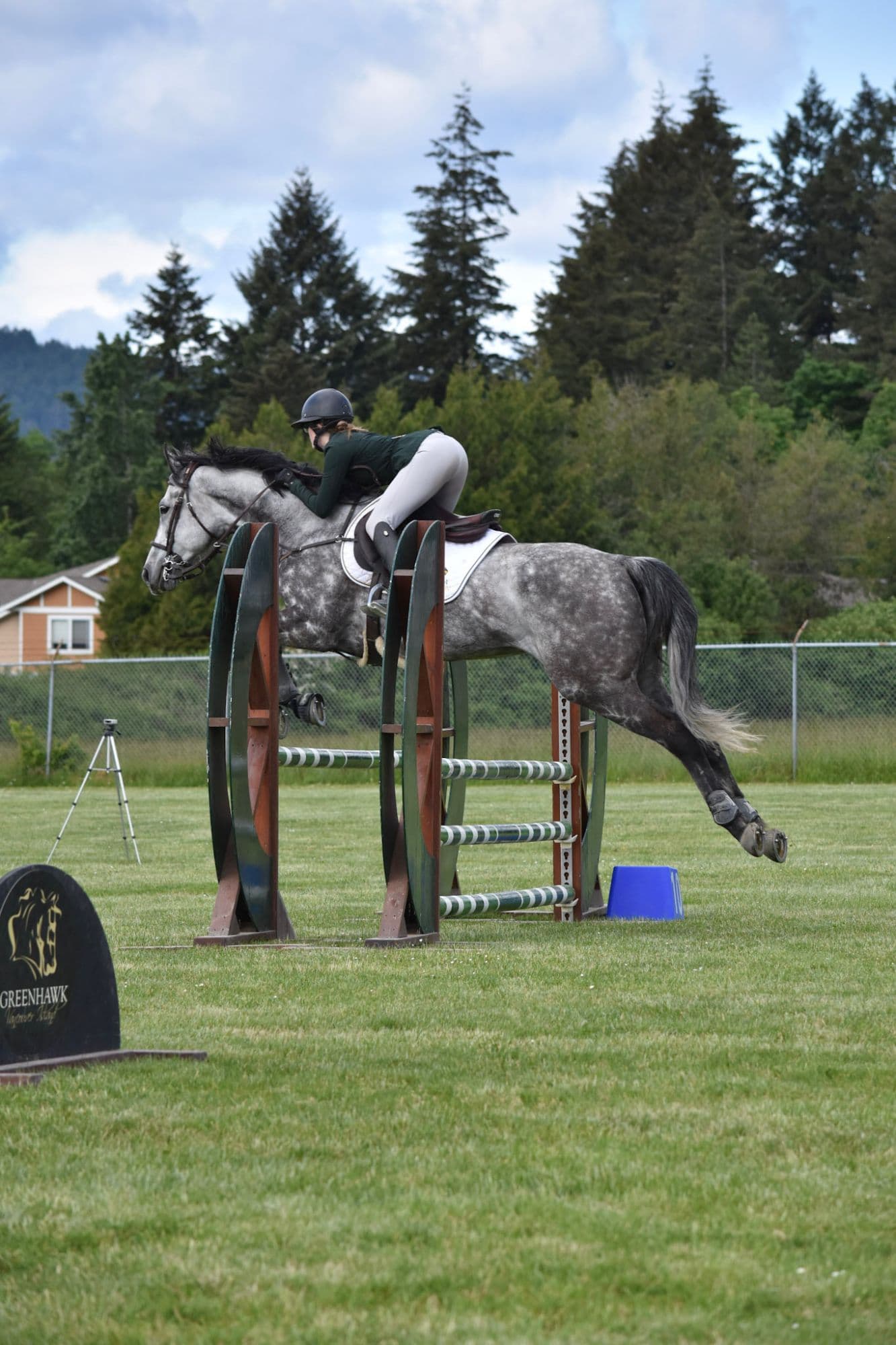 Dapple grey horse stretching over a jump at a Greenhawk show