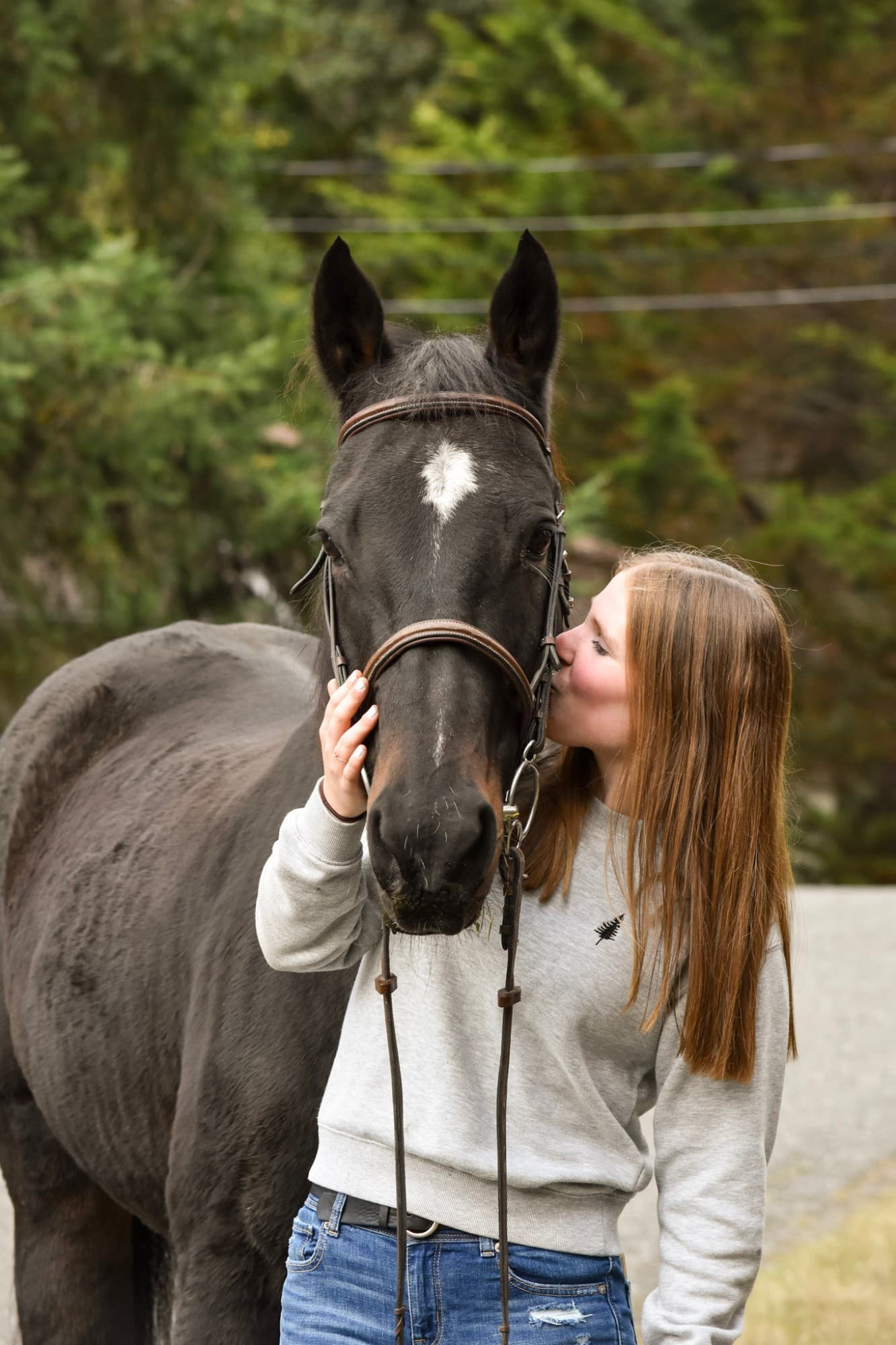 Rider kissing her dark bay horse on the nose